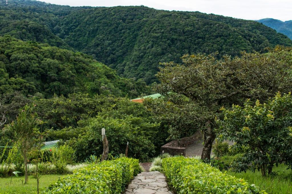 Rainbow Valley Lodge Costa Rica Monteverde Exterior foto